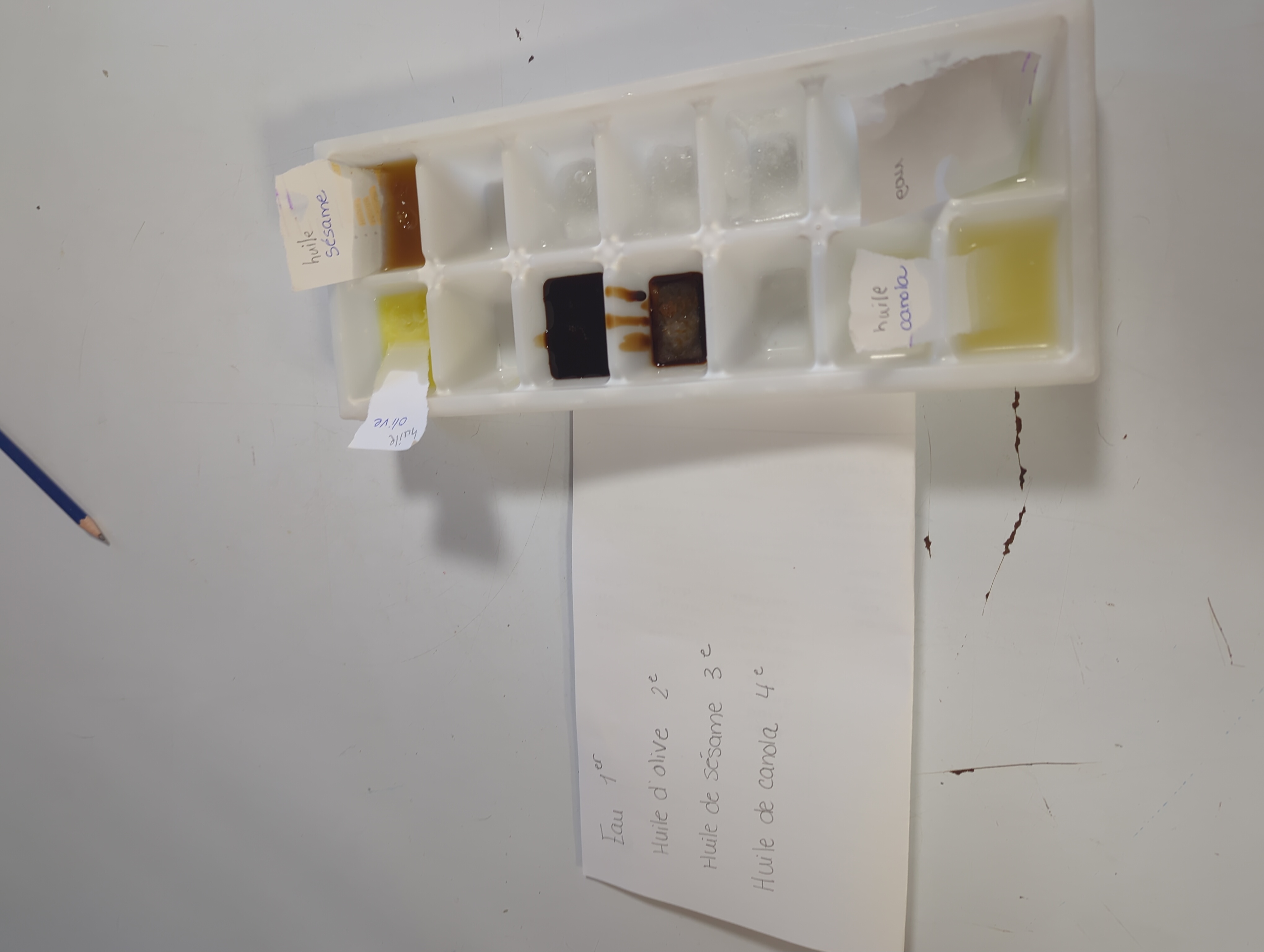 IMG_20251211_121653_933