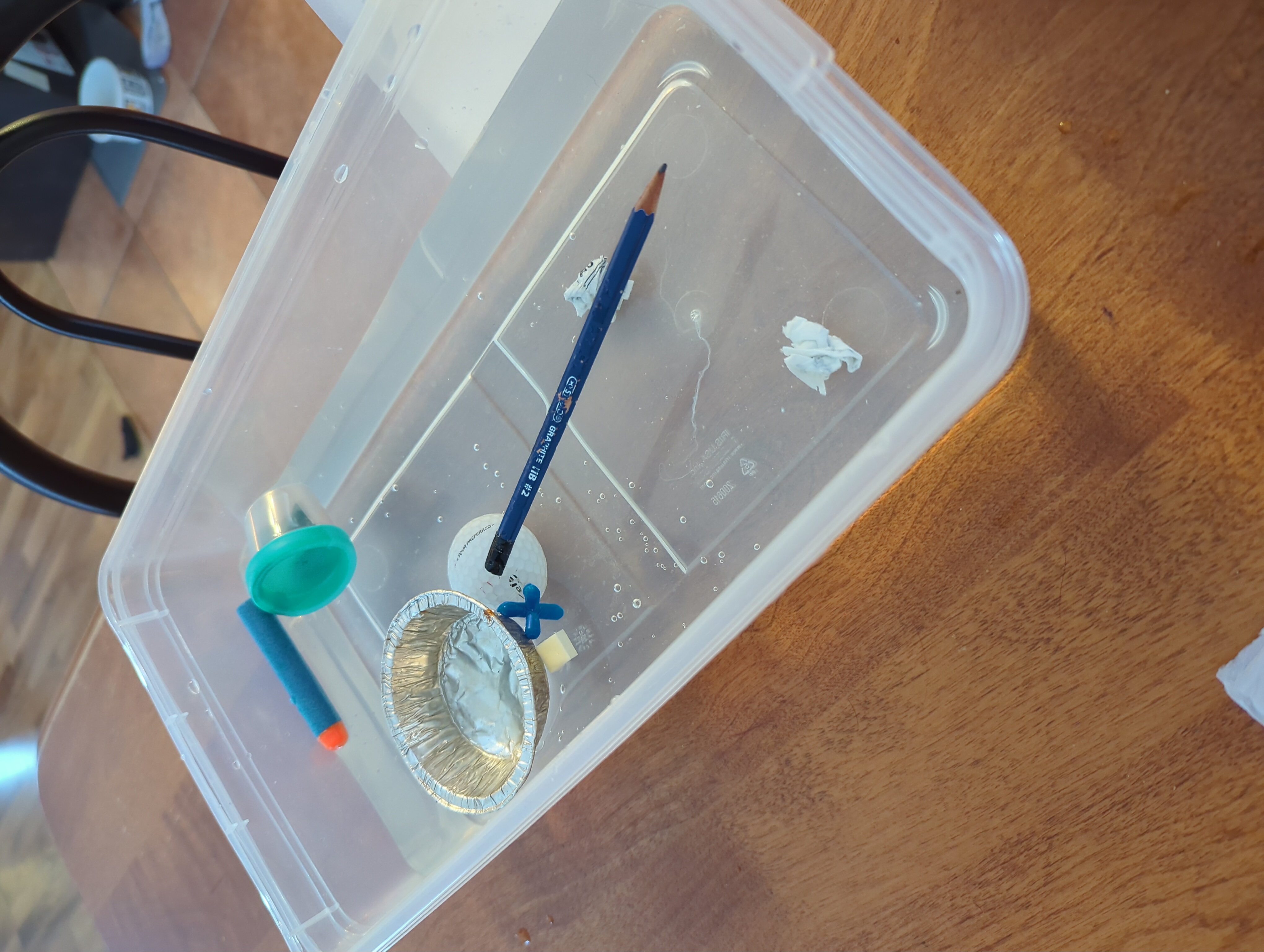 IMG_20251212_101253_464